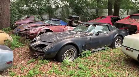 largest corvette salvage yard